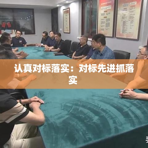 认真对标落实：对标先进抓落实 