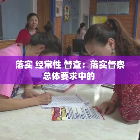 落实 经常性 督查：落实督察总体要求中的 