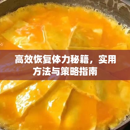 高效恢复体力秘籍，实用方法与策略指南