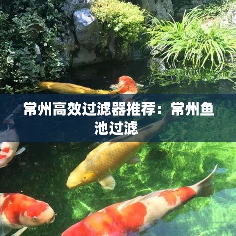 千斤顶 第44页