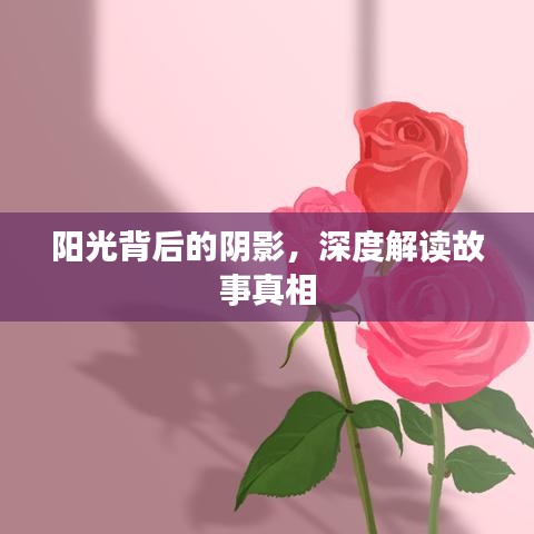 阳光背后的阴影，深度解读故事真相