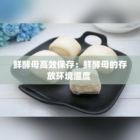 鲜酵母高效保存：鲜酵母的存放环境温度 