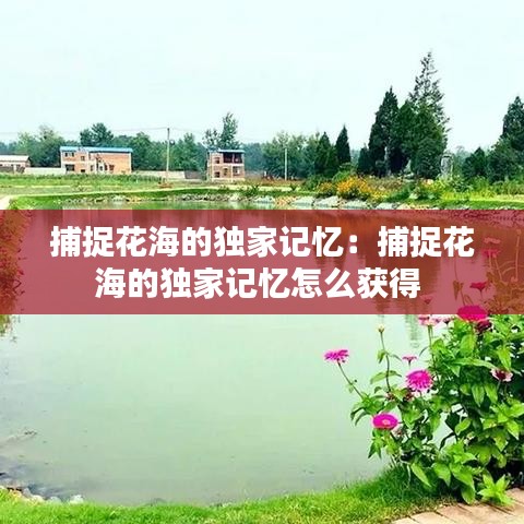 捕捉花海的独家记忆：捕捉花海的独家记忆怎么获得 