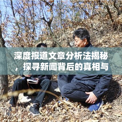 深度报道文章分析法揭秘，探寻新闻背后的真相与价值内幕