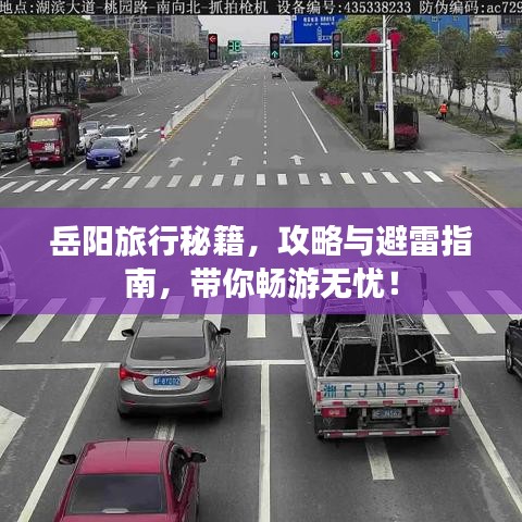 岳阳旅行秘籍，攻略与避雷指南，带你畅游无忧！