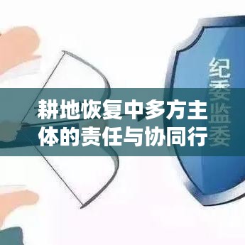 耕地恢复中多方主体的责任与协同行动策略