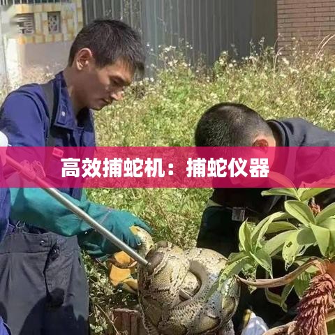 高效捕蛇机：捕蛇仪器 