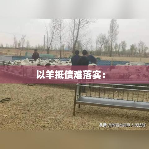 以羊抵债难落实： 