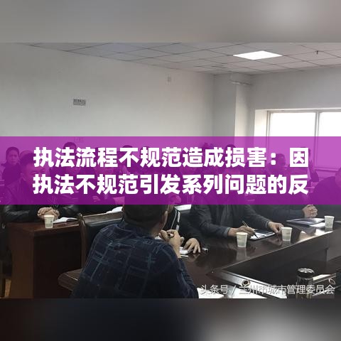 执法流程不规范造成损害：因执法不规范引发系列问题的反思,心得体会 