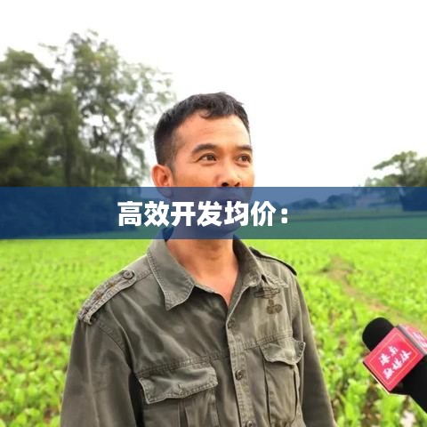 高效开发均价： 