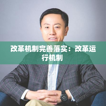 改革机制完善落实：改革运行机制 