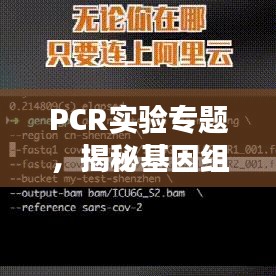 PCR实验专题，揭秘基因组奥秘探索之旅