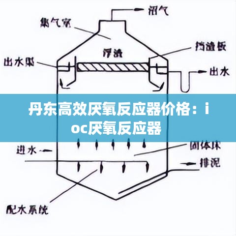 逆风飞扬 第2页