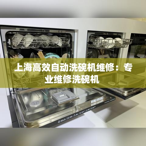 上海高效自动洗碗机维修：专业维修洗碗机 