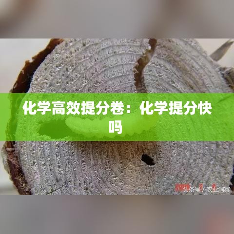 化学高效提分卷：化学提分快吗 