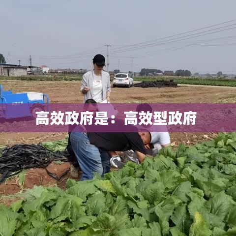 高效政府是：高效型政府 