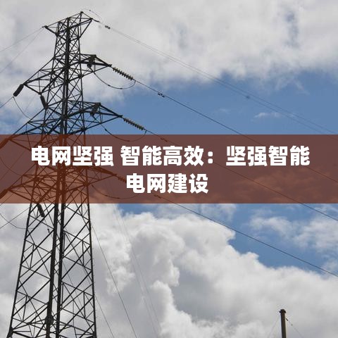 电网坚强 智能高效：坚强智能电网建设 