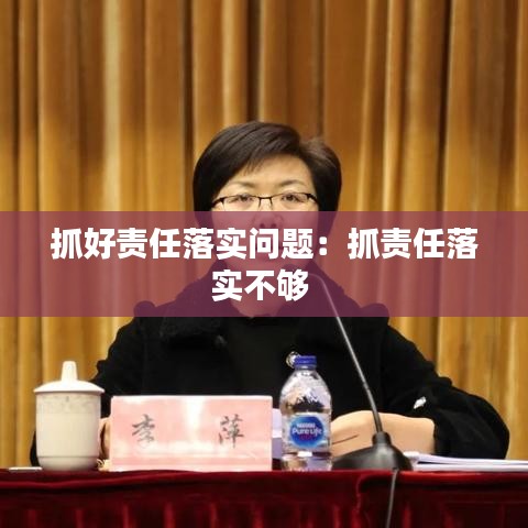 抓好责任落实问题：抓责任落实不够 