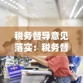 税务督导意见落实：税务督查工作方式 