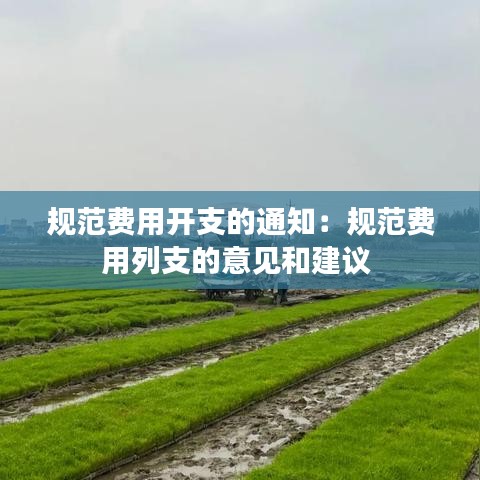 规范费用开支的通知：规范费用列支的意见和建议 