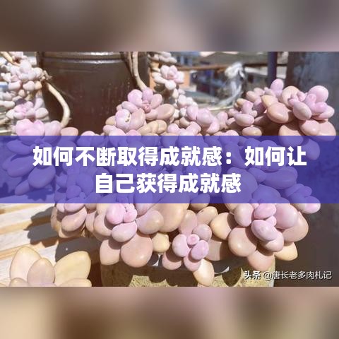 如何不断取得成就感：如何让自己获得成就感 