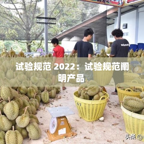 试验规范 2022：试验规范阐明产品 