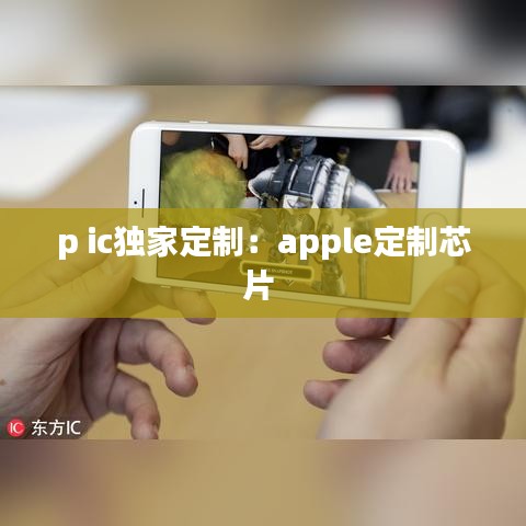 p ic独家定制：apple定制芯片 