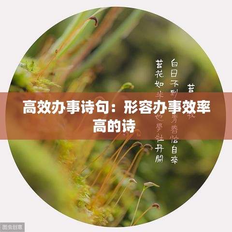 高效办事诗句：形容办事效率高的诗 