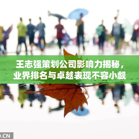 王志强策划公司影响力揭秘，业界排名与卓越表现不容小觑