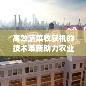 高效蔬菜收获机的技术革新助力农业现代化应用