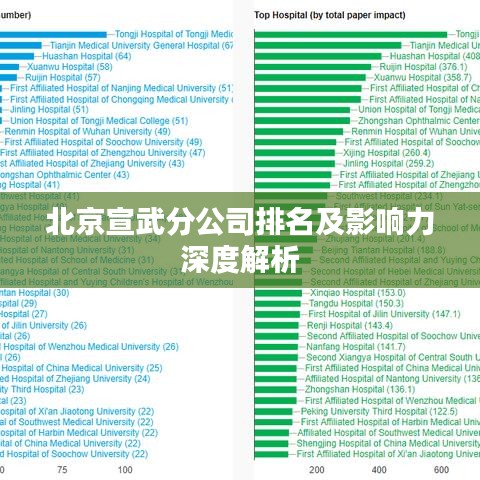 北京宣武分公司排名及影响力深度解析