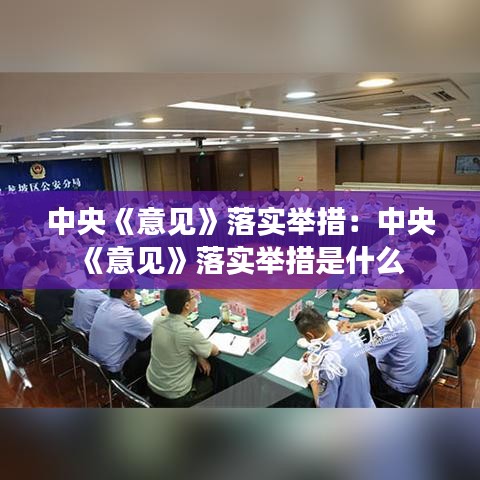 中央《意见》落实举措：中央《意见》落实举措是什么 