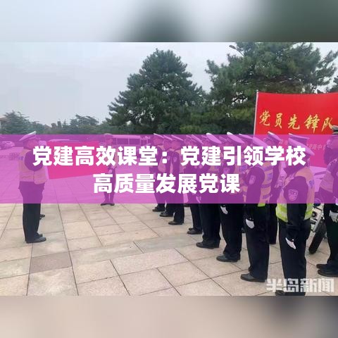 党建高效课堂：党建引领学校高质量发展党课 