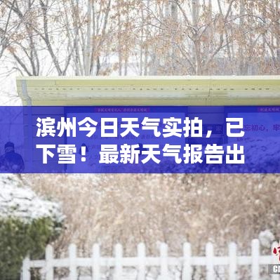 滨州今日天气实拍，已下雪！最新天气报告出炉