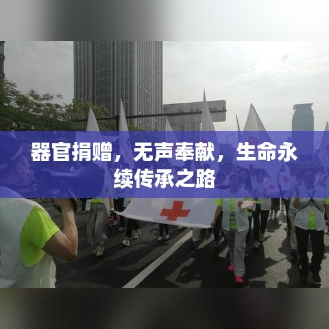 器官捐赠，无声奉献，生命永续传承之路