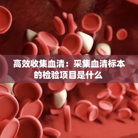 高效收集血清：采集血清标本的检验项目是什么 