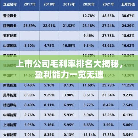 上市公司毛利率排名大揭秘，盈利能力一览无遗