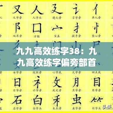 九九高效练字38：九九高效练字偏旁部首攻略 