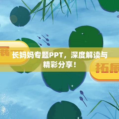 长妈妈专题PPT，深度解读与精彩分享！