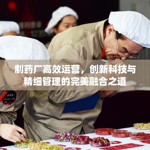 制药厂高效运营，创新科技与精细管理的完美融合之道