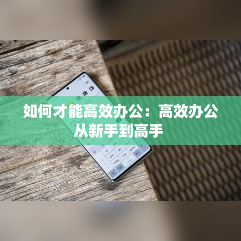 如何才能高效办公：高效办公从新手到高手 