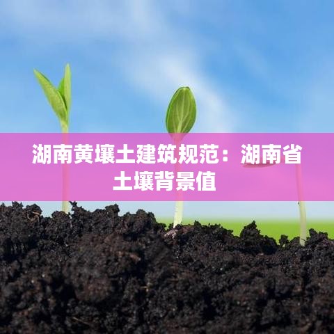 湖南黄壤土建筑规范：湖南省土壤背景值 