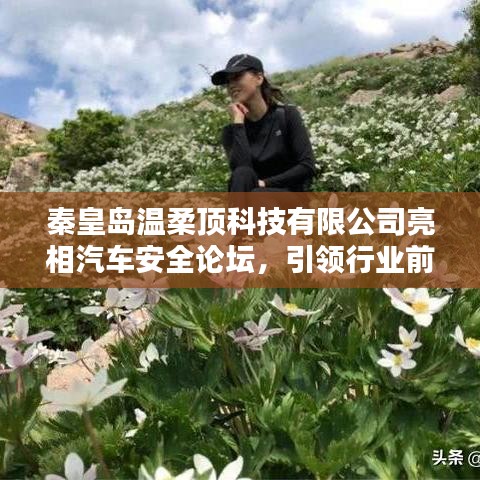 秦皇岛温柔顶科技亮相汽车安全论坛，引领前沿技术探讨风潮