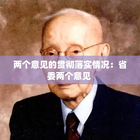 两个意见的贯彻落实情况：省委两个意见 