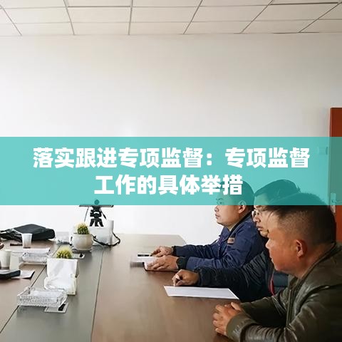 落实跟进专项监督：专项监督工作的具体举措 