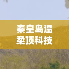 秦皇岛温柔顶科技荣获创新奖，引领行业潮流，铸就典范地位