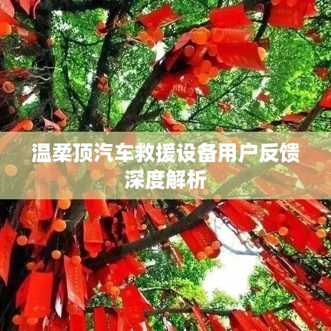 温柔顶汽车救援设备用户反馈详解