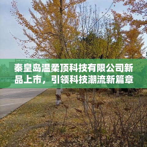 秦皇岛温柔顶科技新品发布，科技潮流新篇章开启