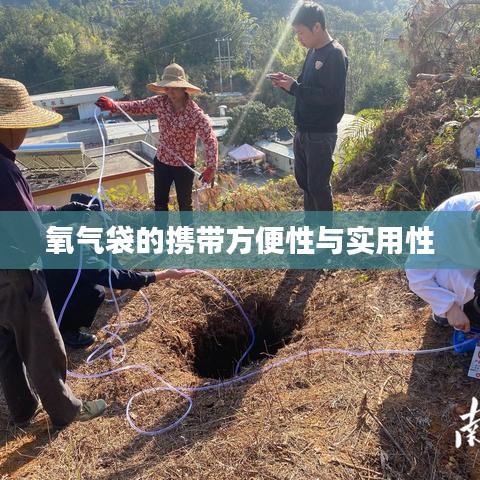 氧气袋便携实用，应急医疗好帮手