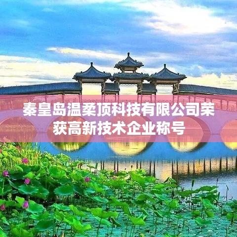 秦皇岛温柔顶科技荣获高新企业称号